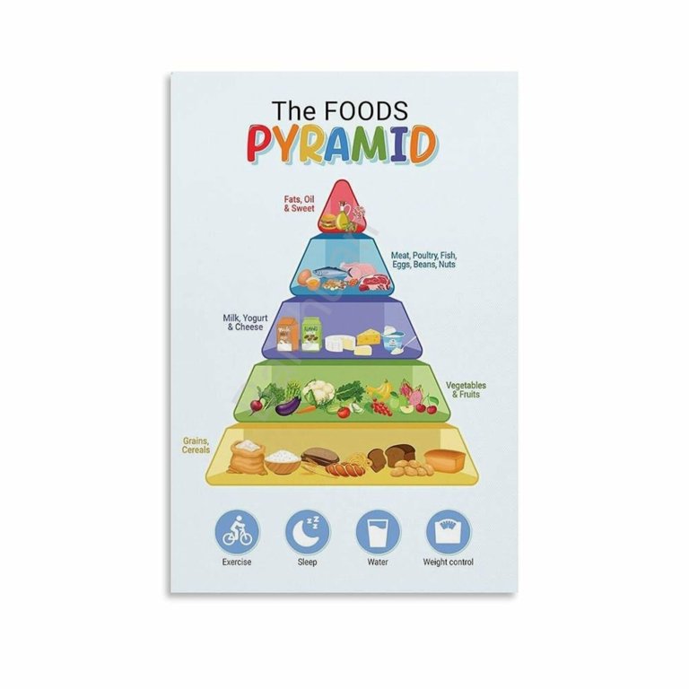 Food Pyramid Chart For Kids