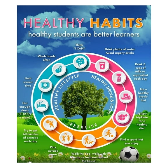 Healthy Habit Wheel Poster - Classroom School Poster - Health Poster
