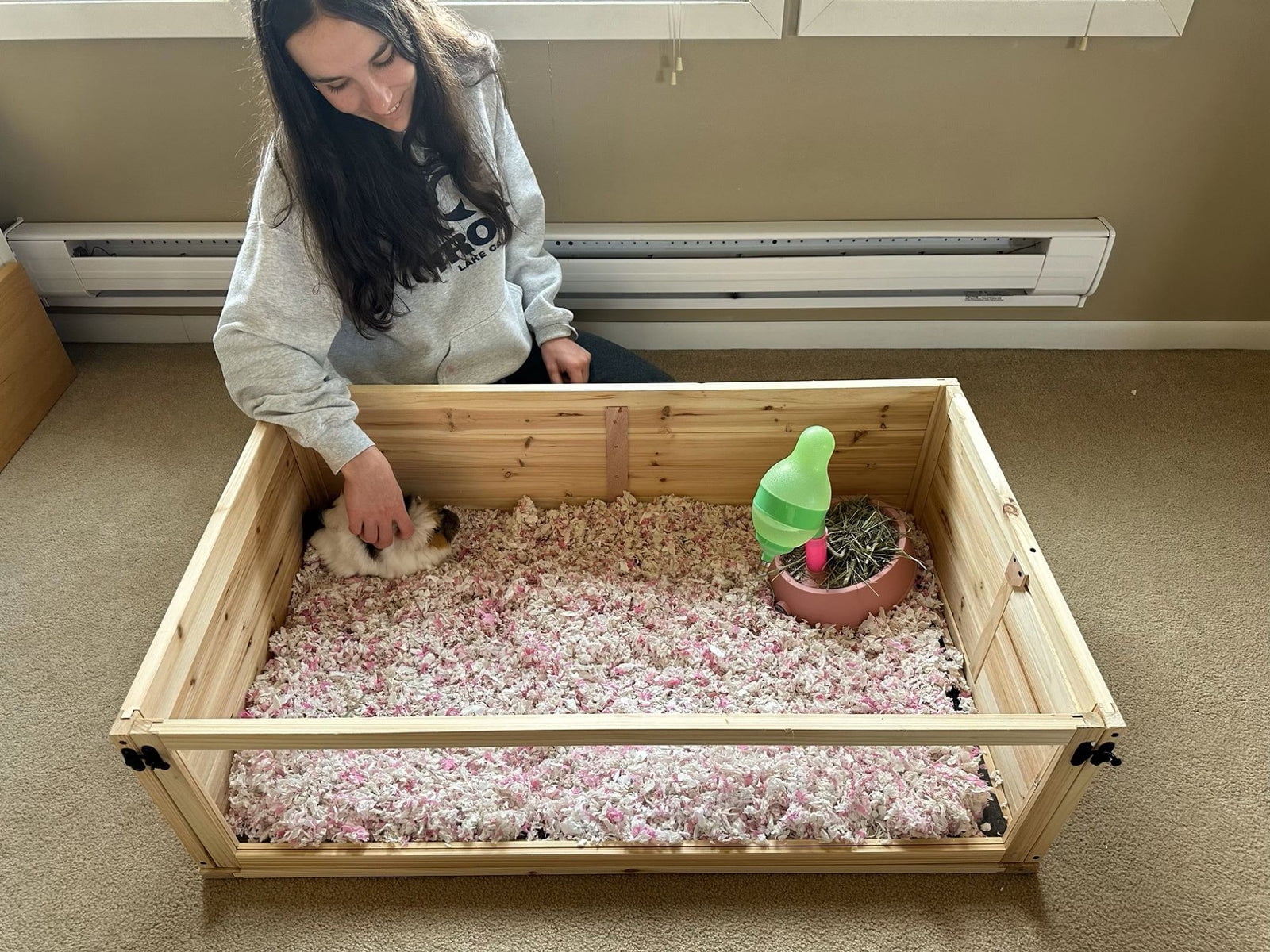Beautiful view of Selecting Guinea Pig'S Safe And Healthy Environment