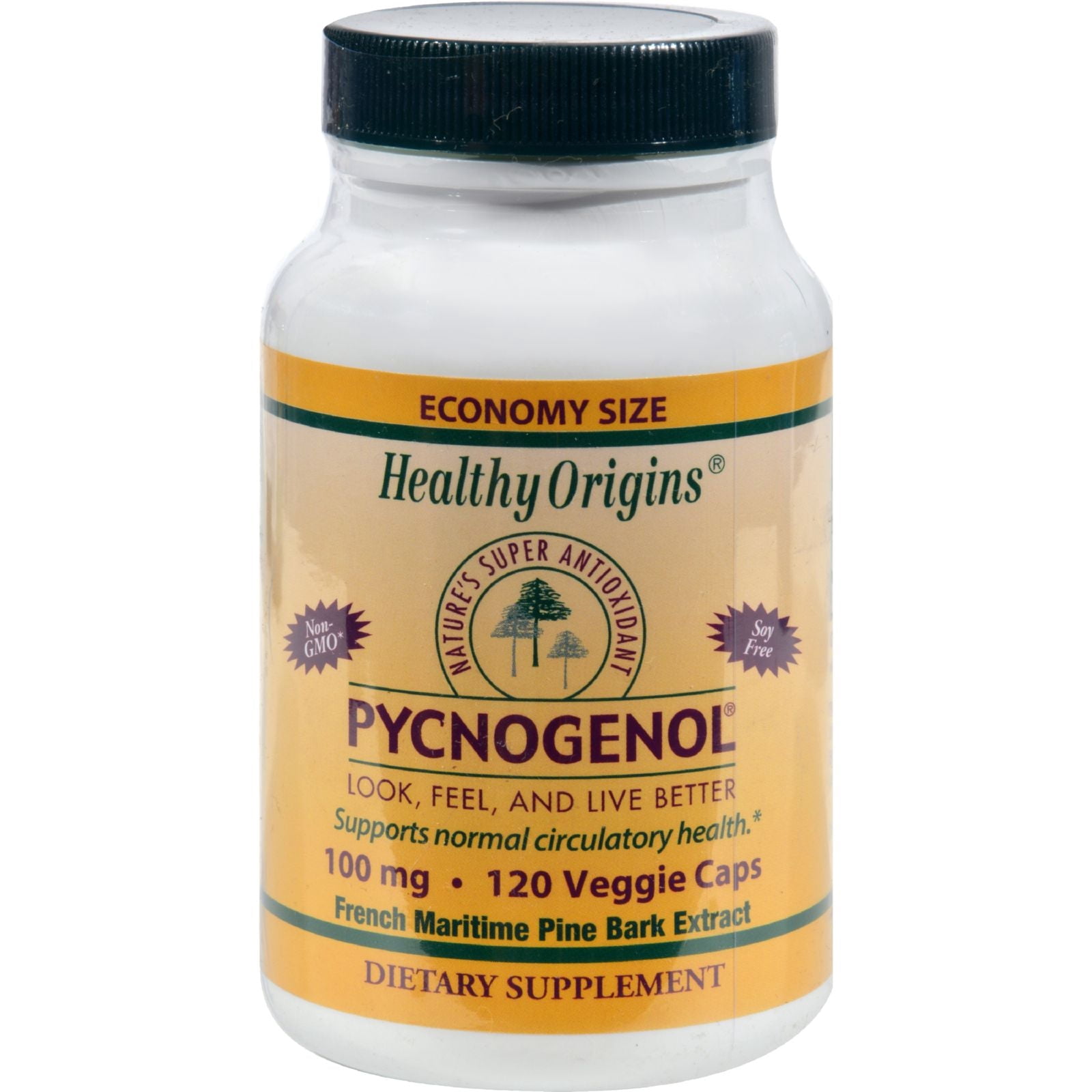 Healthy Origins Pycnogenol 100mg, Super Antioxidant, Non-GMO 