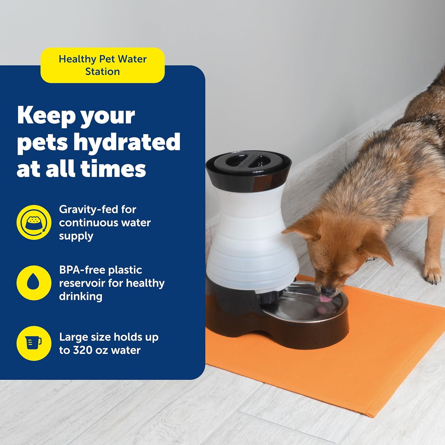 Healthy Pet Water Station Large 320oz Gravity Fountain with Stainless Steel Bowl