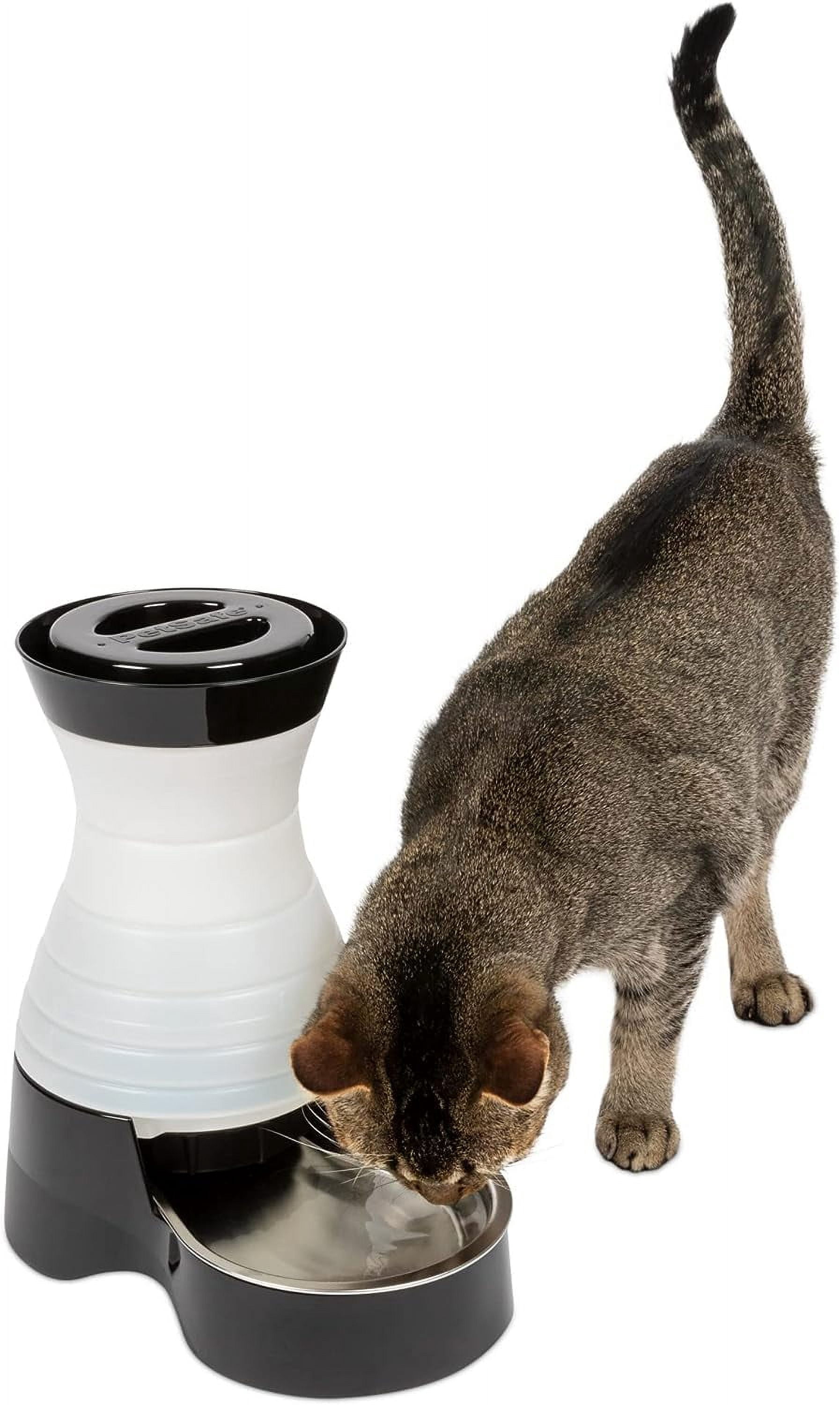 Healthy Pet Water Station - Small, 64 oz Capacity - Gravity Pet Water Fountain, Automatic Cat Water Fountain, Dog Water Fountain, Water Dispenser - Removable Stainless Steel Bowl Included