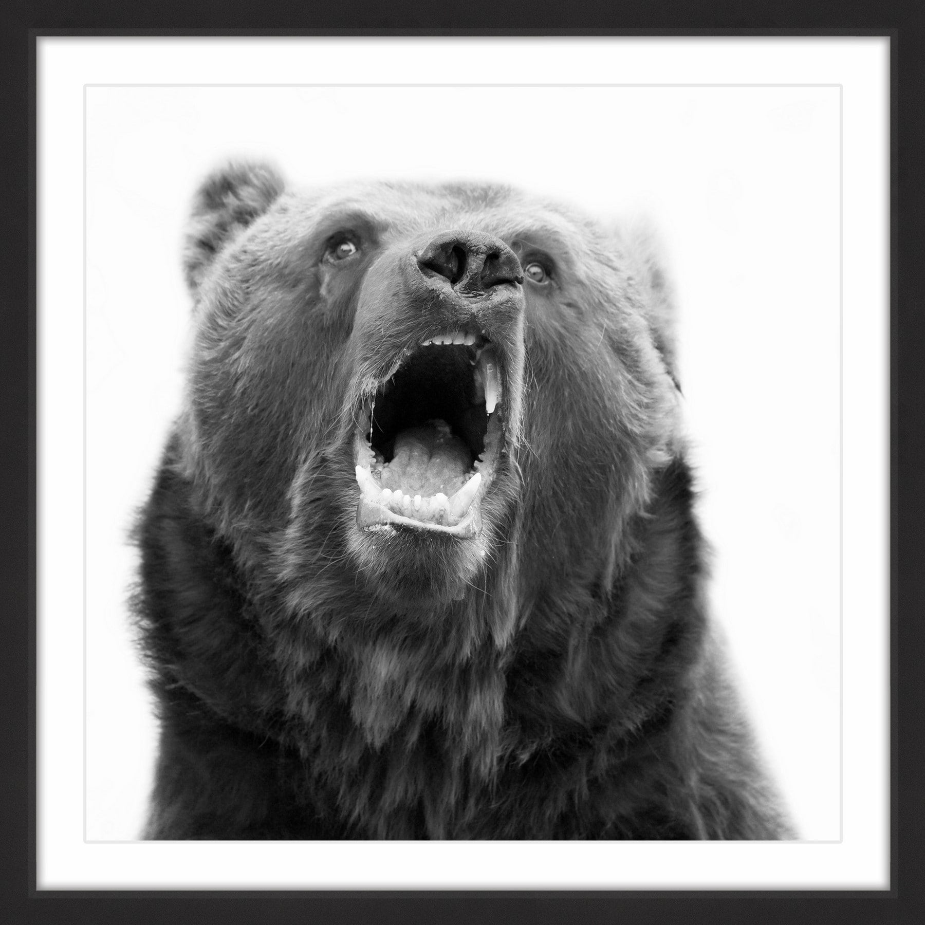"Hear Me Roar" Framed Painting Print