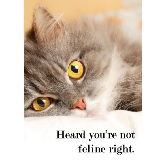 Heard You're Not Feline Right Greeting Card (Get Well)