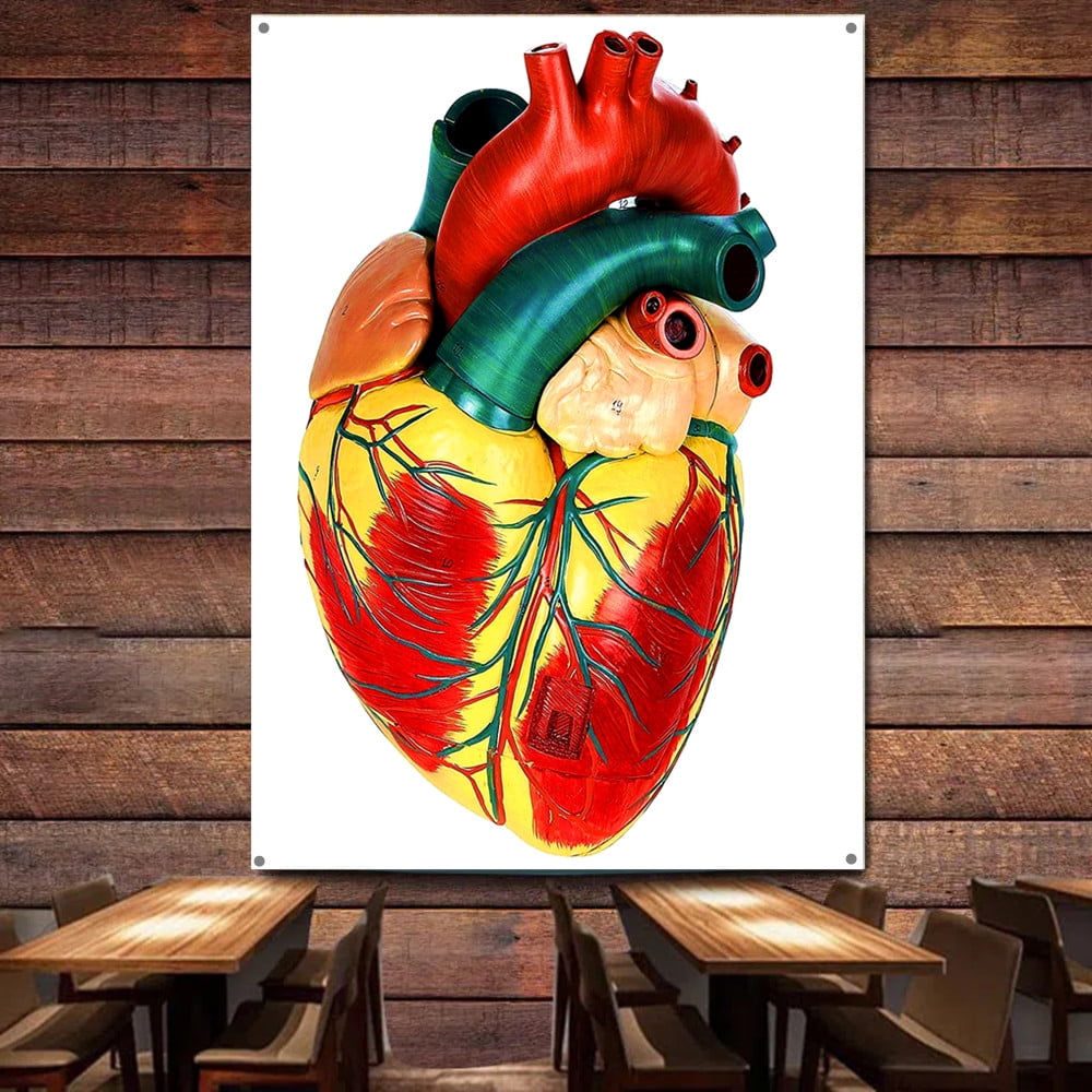 Heart Human anatomy art Posters and Prints Wall Chart Tapestry Wall Art ...