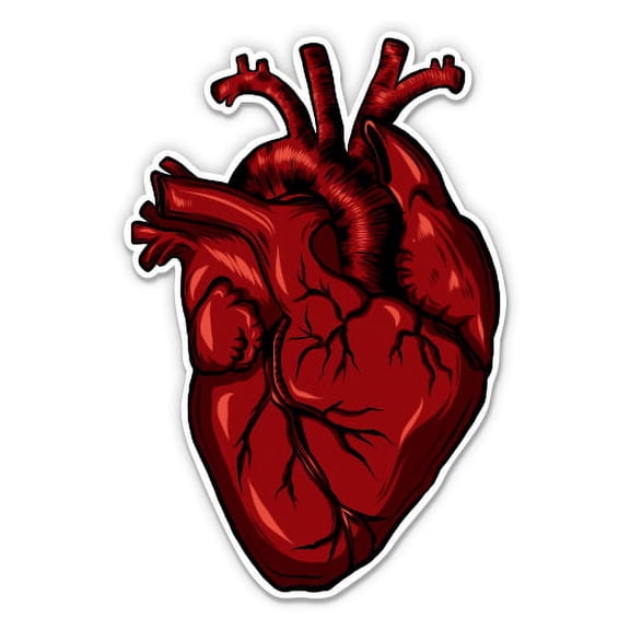 Heart Realistic - 3" Vinyl Sticker - For Car Laptop I-Pad Phone Helmet Hard Hat - Waterproof Decal