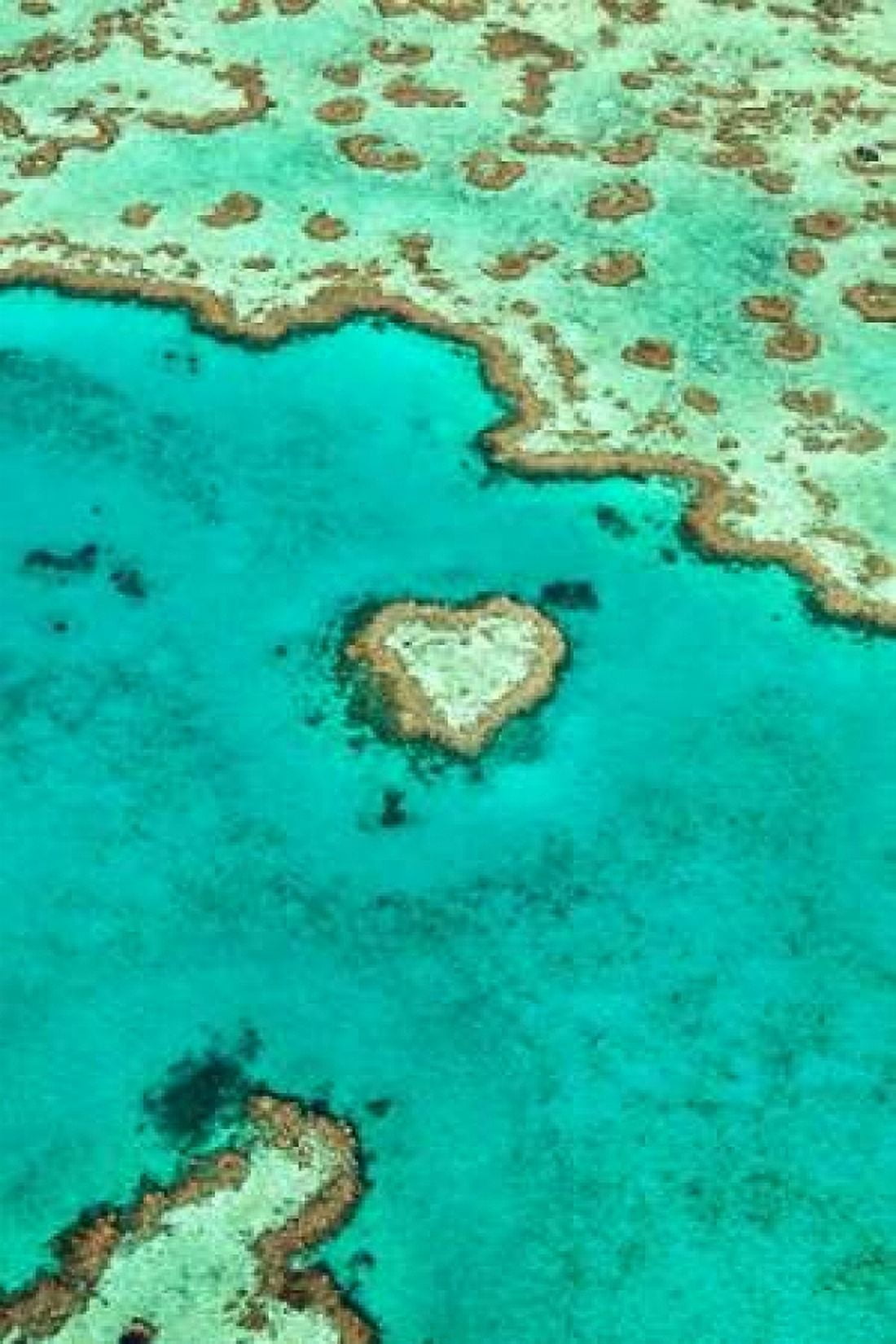 Heart Reef I Canvas Art - Larry Malvin (12 x 18)