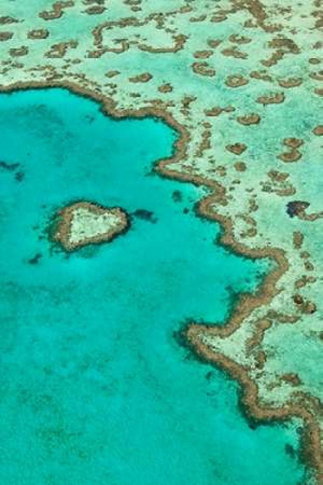 Heart Reef II Canvas Art - Larry Malvin (12 x 18)