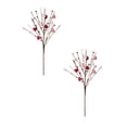 thumbnail image 1 of Heart Shaped Berry Picks 2 Pcs Artificial Red Berry Twig Flowers Stem Branches with Red Pink Heart Valentine’s Day Gifts for Valentine’s Day Anniversary Flower Bouquets, 17.7", White Ping Red Hreat, 1 of 8