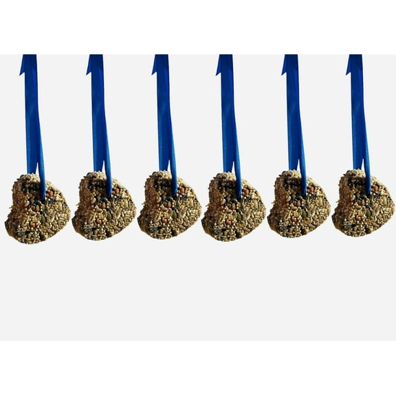Heart Shaped Bird Feed Cakes, Hanaging Ribbon Included - Bird Watching, Attract Cardinal, Chickadee, Finch and More (6 Heart Feed Cakes)