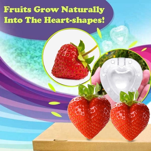 Heart Shaped Strawberry Growth Molds, Clear Plastic Fruit Shaping Mold, 3x4cm Heart Fruit Forming Shaper Tool for Garden Plants