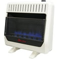 Hearth Sense Dual Fuel Vent less Blue Flame Heater with Base and Blower