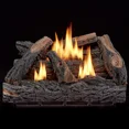 thumbnail image 1 of HearthSense Ventless Dual Fuel Gas Log Set - 24 in., 32,000 BTU, T-Stat Control - Model# VFL24T, 1 of 11