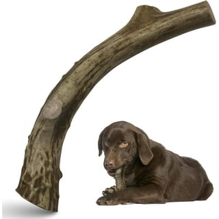 Antlers for puppy teething sale