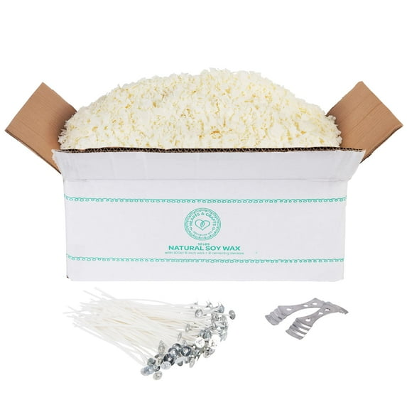 Hearts & Crafts Soy Candle Wax Kit - 10 lb Wax Flakes with 100 Cotton Wicks and 2 Wick Holders - DIY Supplies for Crafting Candles, Tarts, and Scented Creations