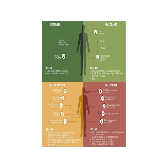 Heat Exhaustion and Heat Stroke Safety Poster Heat Related Illnesses Prevention Guide Workplace Training Office Wall Decor First Aid Reference