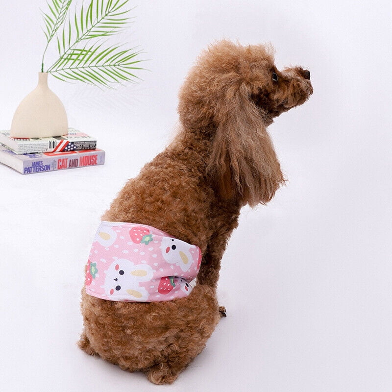 Heat In Season Female Pet Dog Pants Menstrual Sanitary Nappy Diaper Underwear