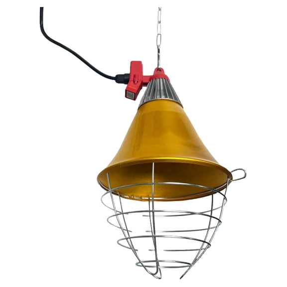 Heat Lamp with Safety , Stainless Steel, Chicken Coop, Reptiles, Piglets, Infrared Light, Baby Lambs, Baby Goats, Newborn Livestock, Puppies, 250W, 6.5 Foot Cord