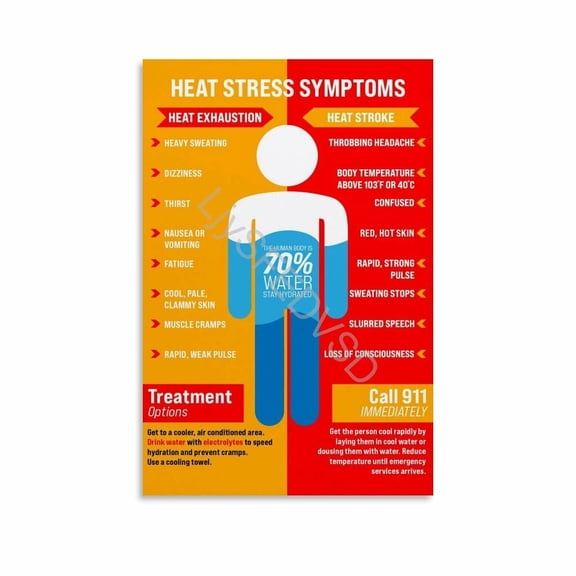 Heat Stress Symptoms Infographic Poster Heat Exhaustion Vs Stroke First Aid Guide Canvas Painting Wall Art