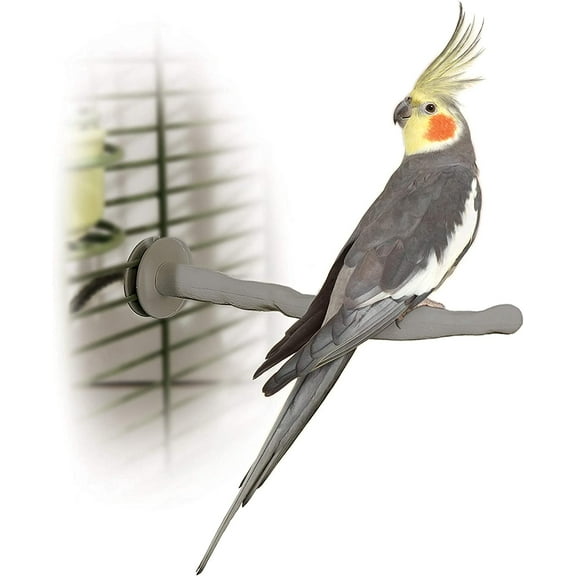 Heated Bird Perch for Cage, Bird Cage Accessory, Exotic Avian Warming Post for Med/Large Feathered Friends Like Parrot, African Grey, Cockatoo
