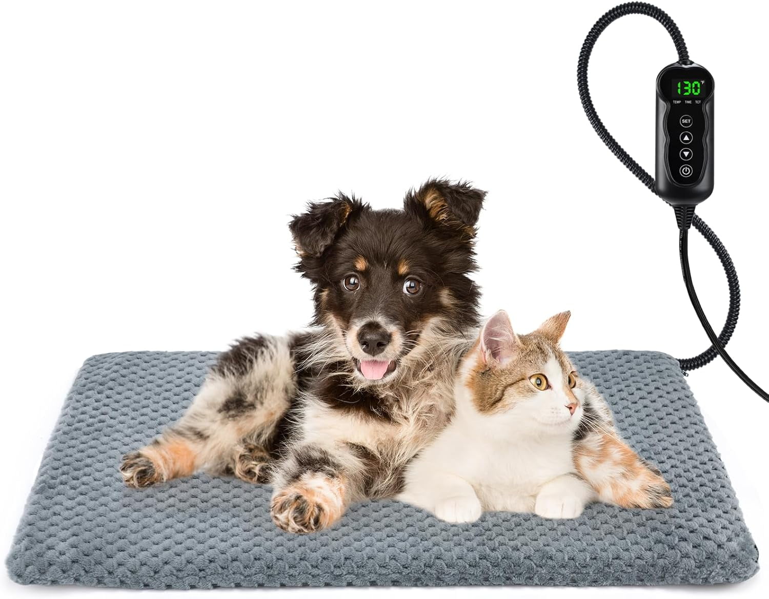Stunning Temperature Indoor Dog Exercise image