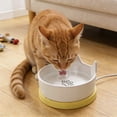 thumbnail image 1 of Heated Dog Bowl Ceramic Pet Water Dispenser Winter Warm Cat Drinking Fountain Outdoor Use With Anti Chew Power Cord Constant Temperature, 1 of 7