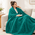 Heated Electric Blanket 62