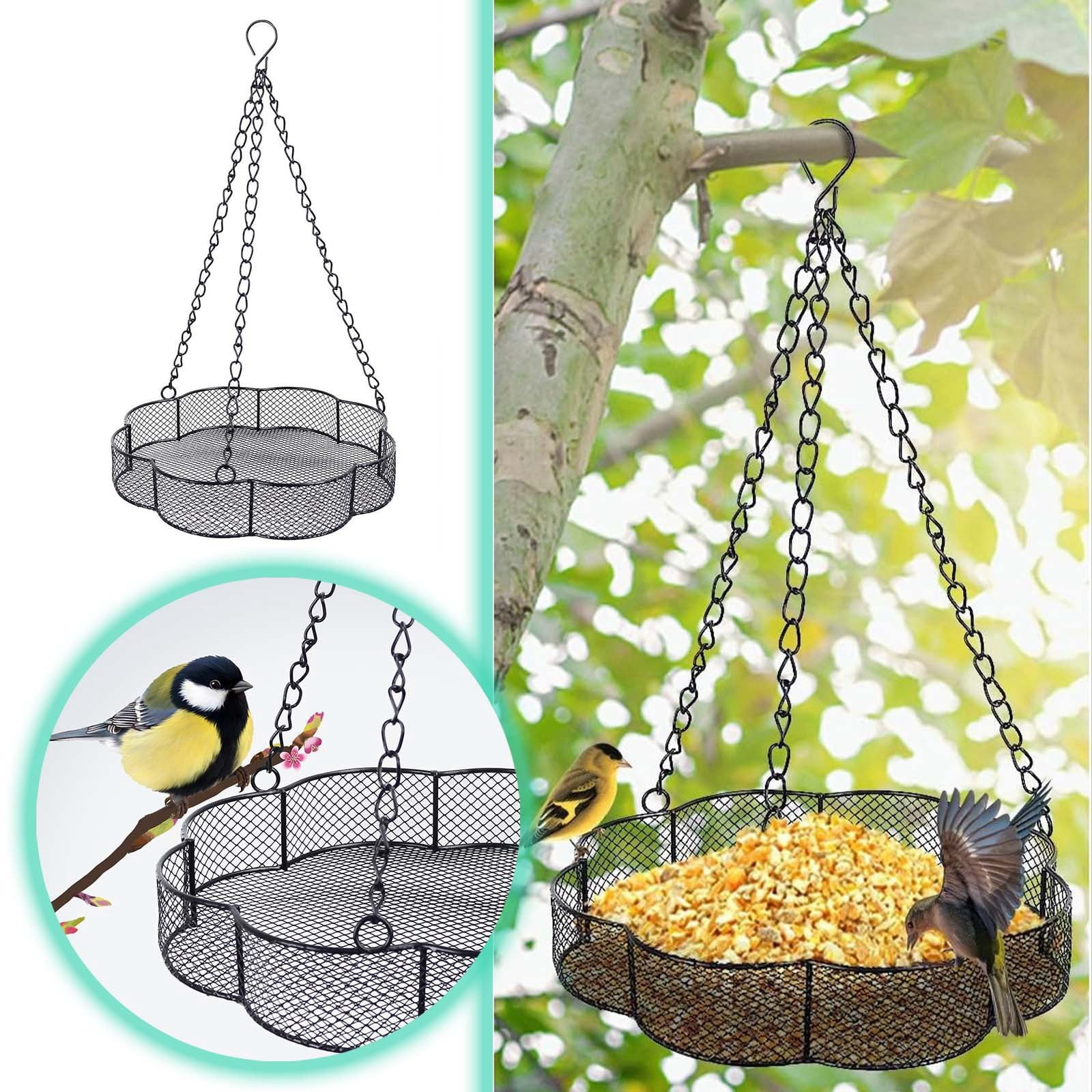 Heated Water Feeders for outside for outside Feeders Chicken Ladder for ...