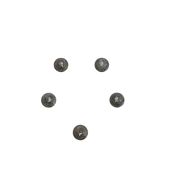 Heater Box Firewall Cover Mounting Nuts Set, 5 Pieces