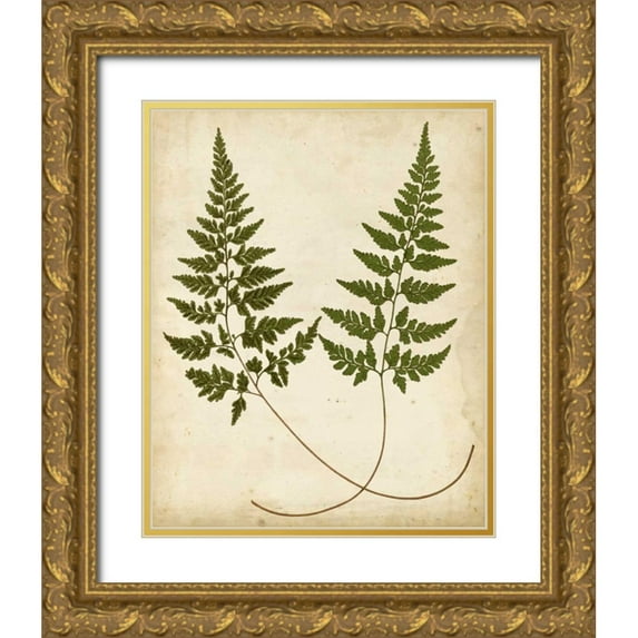 Heath, Francis G. 12x14 Gold Ornate Wood Framed with Double Matting Museum Art Print Titled - Fern Portfolio I