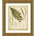 thumbnail image 1 of Heath, Francis G. 26x32 Gold Ornate Wood Framed with Double Matting Museum Art Print Titled - Fern Portfolio II, 1 of 4