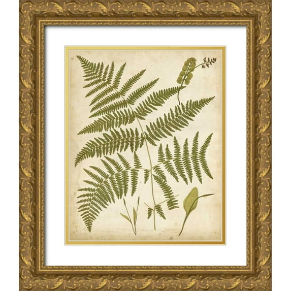 Heath, Francis G. 26x32 Gold Ornate Wood Framed with Double Matting Museum Art Print Titled - Fern Portfolio IV