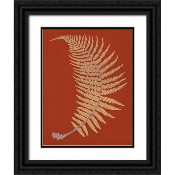 Heath, Francis George 19x24 Black Ornate Wood Framed with Double Matting Museum Art Print Titled - Male Fern