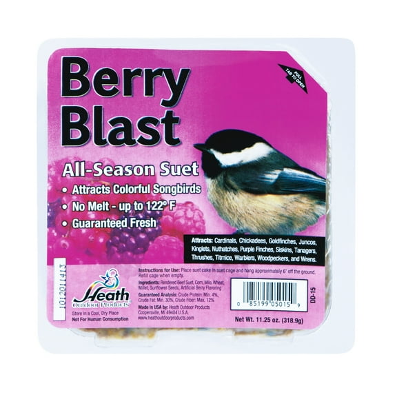 Heath Outdoor Products Wild Bird Suet Cake Bird Food Berry Blast, (12 Pack)