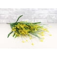 thumbnail image 1 of Heather Bush - Yellow Petals, 1 of 2