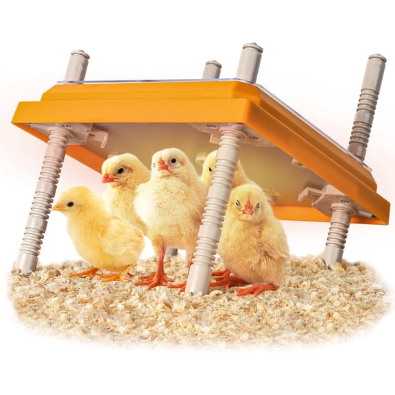 Heating Plate for Chicks, 10" x 10", 15W Brooder Heater with Adjustable Height and Angle, for 15 Chicks, Warm Like Mother Hen Chicken Brooder