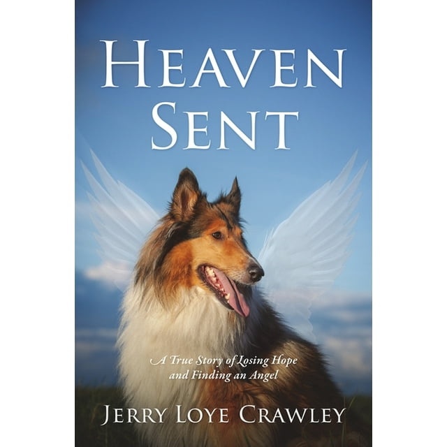 Heaven Sent: A True Story of Losing Hope and Finding an Angel (Paperback)