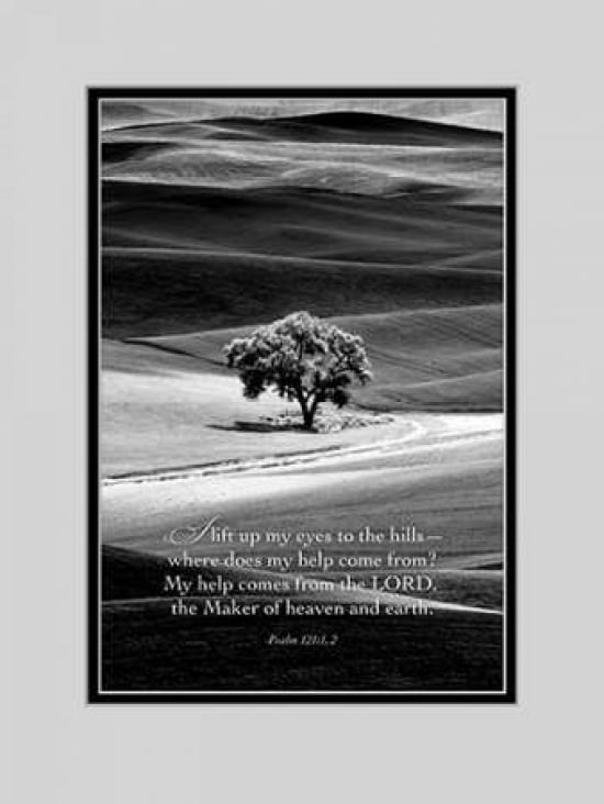 Heaven and Earth Canvas Art - Dennis Frates (18 x 24)