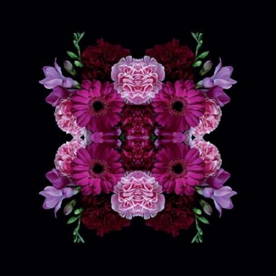 Heavenly Blooms Canvas Art - Alyson Fennell (24 x 24)