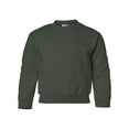 thumbnail image 1 of Heavy Blend Youth Sweatshirt, S, Forest, 1 of 3