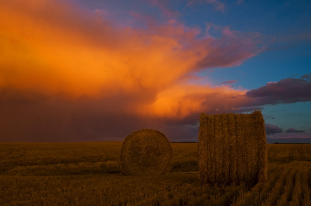 Heavy Clouds And Hay Bales After A Storm Near Cypress River Manitoba Canvas Art - Mike Grandmaison Design Pics (36 x 22)