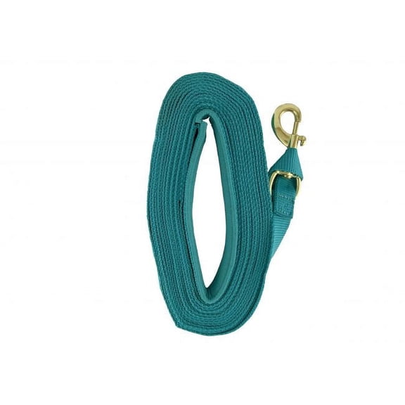 Heavy Duty 25' Web Lunge Line w/ Padded Handle (Teal)