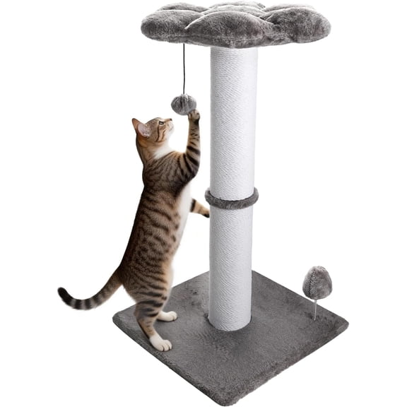 Heavy Duty 30 Inch Rope Cats Scratcher with Flower Perch & Ball for Indoor Cats Tall (Grey)