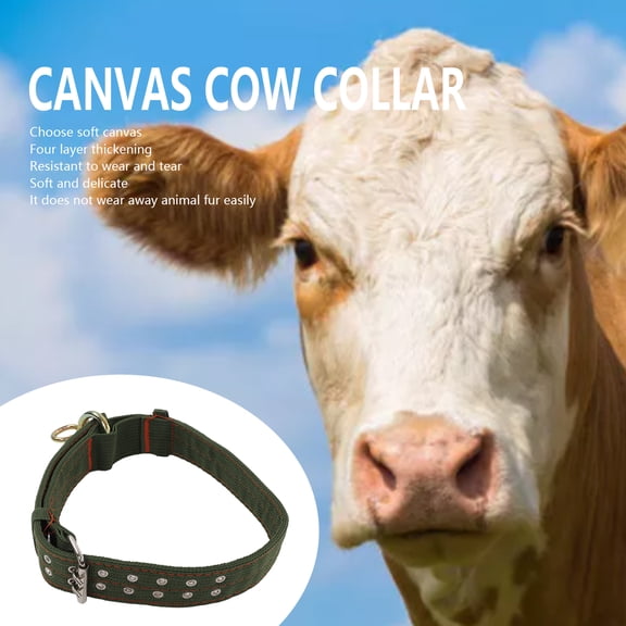 Heavy Duty 4-Layer Adjustable Canvas Animal Collar with Double Row Metal Buckles for Cattle, Horses, Sheep, Dogs metal 2 Rows Buckle Horse Sheep Cattle Dog