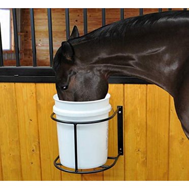 Choosing The Best Horse Heated Bucket: A Winter Essential - Justus