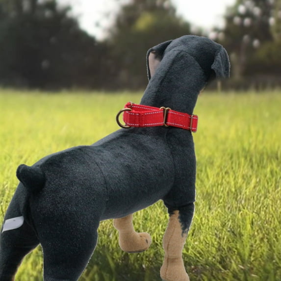 Durable Nylon Dog Collar Reflective Lost Pet Collar with Quick Release Buckle for Outdoor Adventure Training Walking