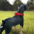 thumbnail image 1 of Heavy Duty Buckleless Dog Training Collars for Service Dogs - Adjustable and Durable Design for All Puppies, 1 of 3