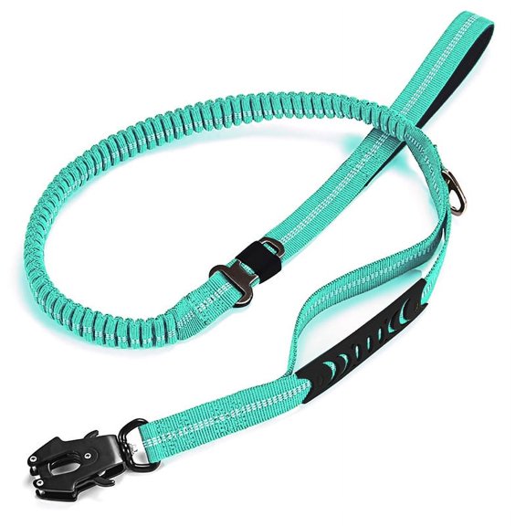 Heavy Duty Bungee Dog Leash with Reflective Stitching, Shock Absorbing No Pull Dog Leash with Dual Padded Handles & Car Safety Buckle, 4FT-6FT Stretchable Training Leash for Medium Large Dogs