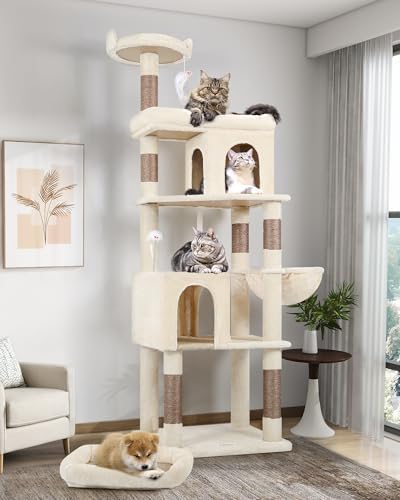 Fresh Look at Heavy Duty Cat Trees For Large Cats Sturdy 72In Maine