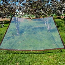 Heavy Duty Clear PE Tarpaulin | 3.28x6.56ft Transparent Plastic Tarp with Buckle, Reinforced Edges, Grommets | Waterproof, UV Resistant Cover for Garden, Courtyard, Greenhouse, Balcony, Easy